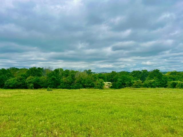 lot11 Clare Rd, Poolville, TX 76487