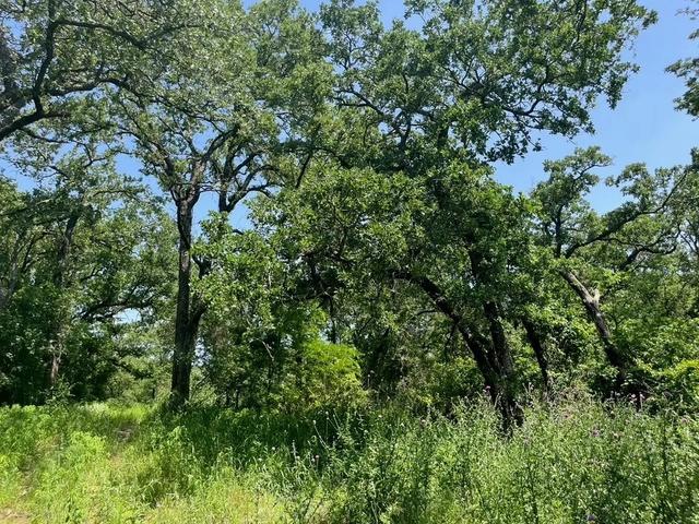 lot44 Antrim Ct, Poolville, TX 76487