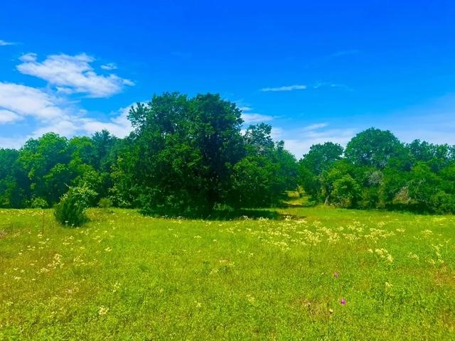 lot100 Arlow Rd, Poolville, TX 76487