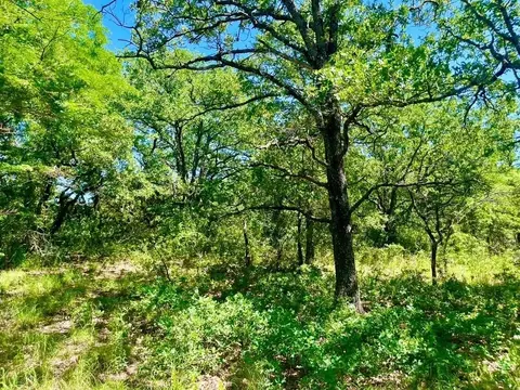 lot39 Kilkenny Rd, Poolville, TX 76487