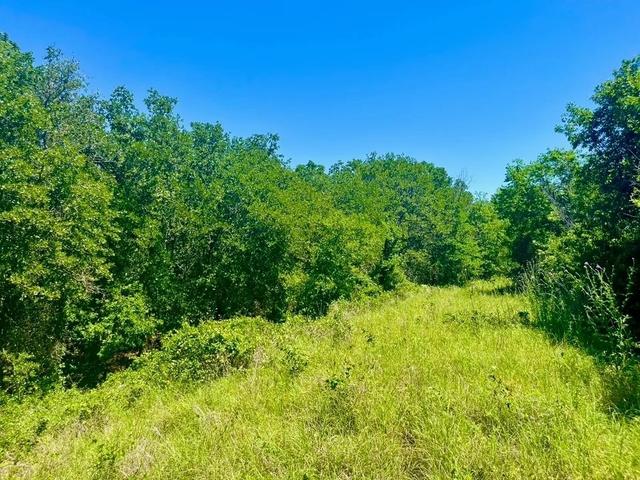 lot35 Galway Rd, Poolville, TX 76487