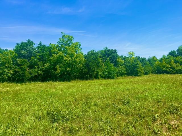 lot103 Arlow Rd, Poolville, TX 76487