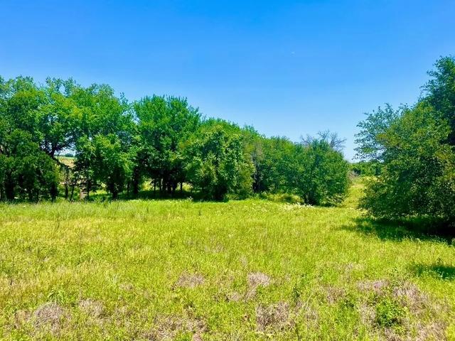 lot89 Kerry Ct, Poolville, TX 76487