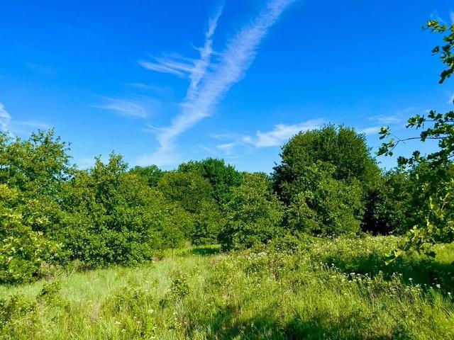 lot53 Wicklow Ct, Poolville, TX 76487