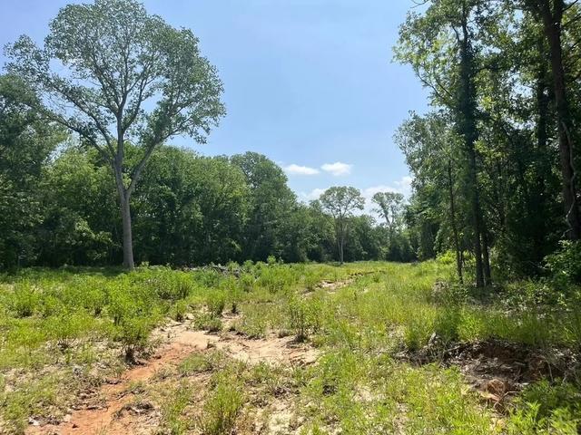 lot45 Antrim Ct, Poolville, TX 76487