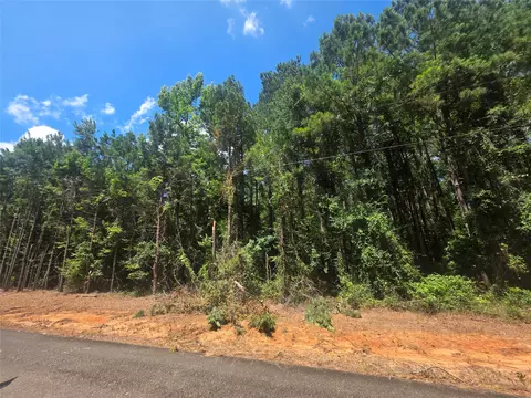 0 Pleasant Hill Cemetery Rd, Plain Dealing, LA 71064 photo 2