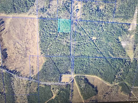 0 Pleasant Hill Cemetery Rd, Plain Dealing, LA 71064 photo 3
