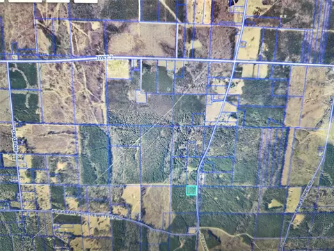 0 Pleasant Hill Cemetery Rd, Plain Dealing, LA 71064 photo 4