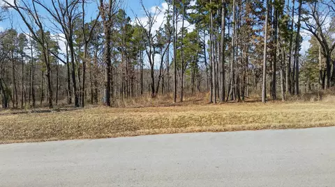 3200 Shadow Pine Dr, Larue, TX 75770