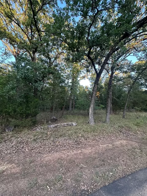 101 Cedar Oaks Dr, Mabank, TX 75156