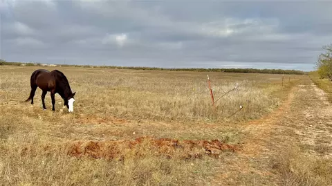 tbd Iberis Rd, Abilene, TX 79606