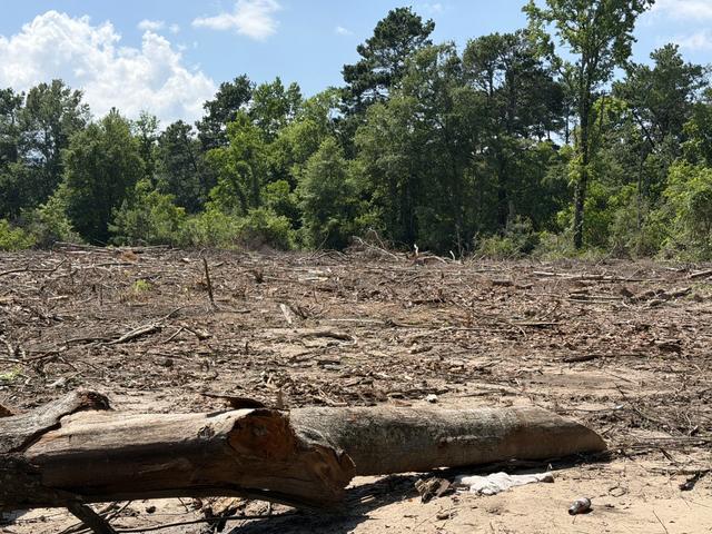 0 Bogle Rd, Logansport, LA 71049