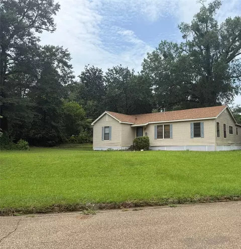 Exterior - 123 Washington St, Minden, LA 71055 photo 6 of 9