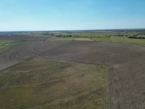 3809 County Road 384, Bartlett, TX 76511 photo 7