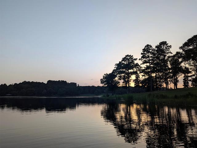 00 Striper Cv, Larue, TX 75770