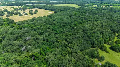 604 County Road 3561, Dike, TX 75437 photo 6