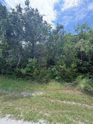 12208 Rolling Oaks Dr, Whitney, TX 76692