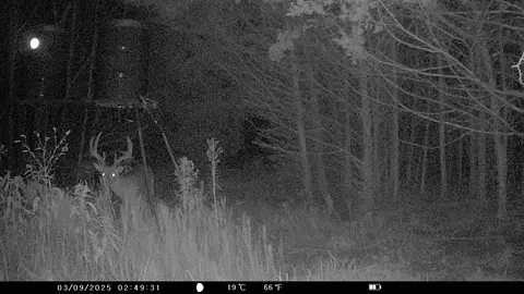 Other - 905 E Fm 120, Denison, TX 75021 photo 10 of 12