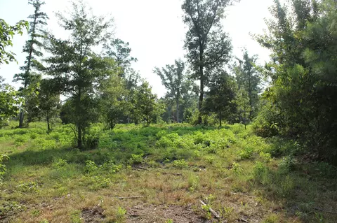0 Germantown Rd, Minden, LA 71055 photo 3