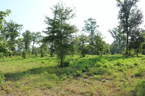 0 Germantown Rd, Minden, LA 71055 photo 2
