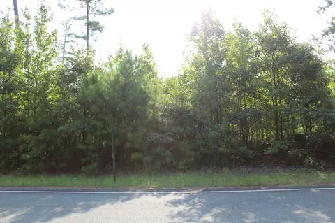 0 Germantown Rd, Minden, LA 71055 photo 4
