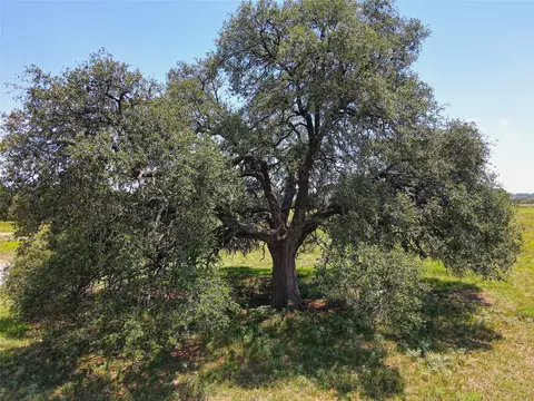3976 Fm 1477, Comanche, TX 76442 photo 10