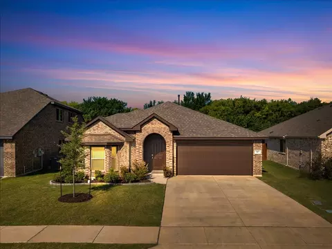 317 Rock Sparrow Ln, Alvarado, TX 76009