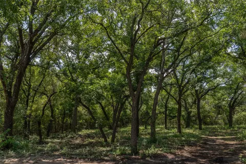 1030 Shiloh Vista Ln, Tolar, TX 76476