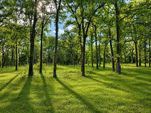 tbd County Road 1503, Point, TX 75472