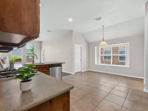 Other - 12304 Durango Root Dr, Fort Worth, TX 76244 photo 1 of 4