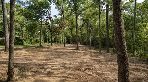 163 Ermine Ct, Mount Vernon, TX 75457