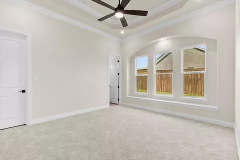 3690 Jacks Loop, Midlothian, TX 76065 photo 28
