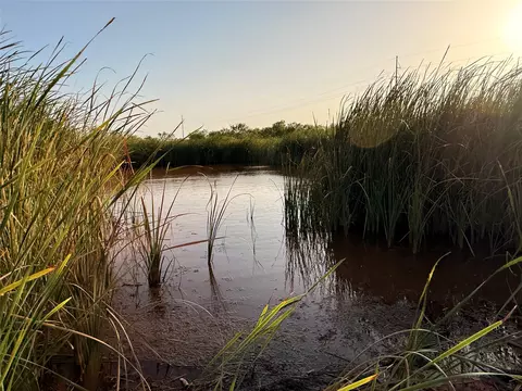 tbd Tr 5fm 604, Ovalo, TX 79541