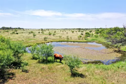 54 Acres Hwy 114, Olney, TX 76374
