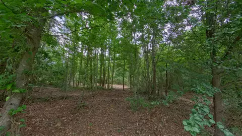 0 Treebark, Texarkana, AR 71854 photo 3