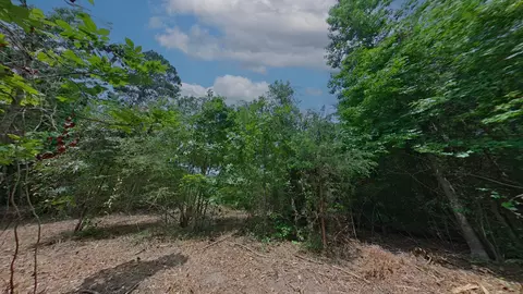0 Treebark, Texarkana, AR 71854 photo 10