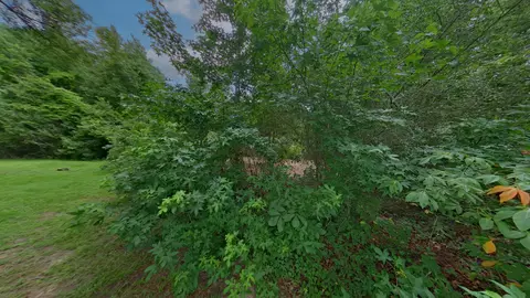 0 Treebark, Texarkana, AR 71854 photo 25