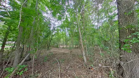 0 Treebark, Texarkana, AR 71854 photo 6