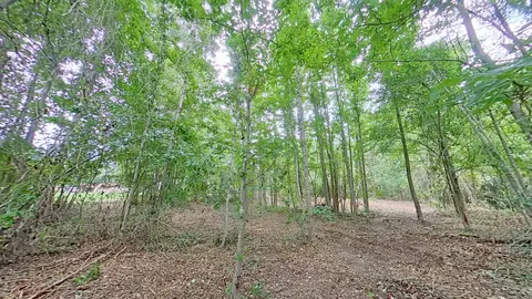 0 Treebark, Texarkana, AR 71854 photo 4