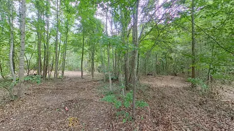 0 Treebark, Texarkana, AR 71854 photo 5