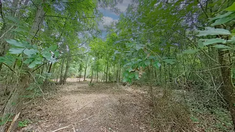 0 Treebark, Texarkana, AR 71854 photo 2