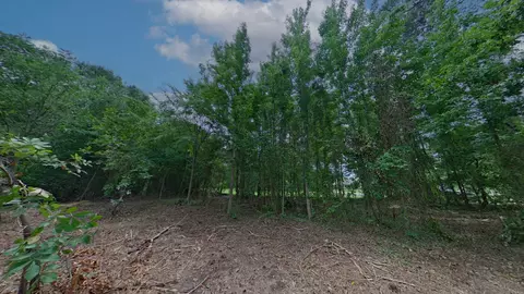 0 Treebark, Texarkana, AR 71854 photo 9