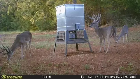 tbd Cr 440, Lindale, TX 75771