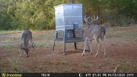 16092 Cr 440, Lindale, TX 75771