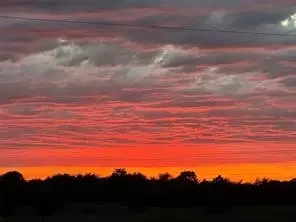 4886 County Road 1037, Celeste, TX 75423 photo 35
