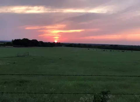 2110 County Road 362, Desdemona, TX 76445