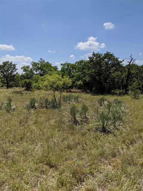 0000 Co Rd 271, Rising Star, TX 76471