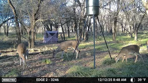 200 Patterson Ln, Palo Pinto, TX 76484 photo 20