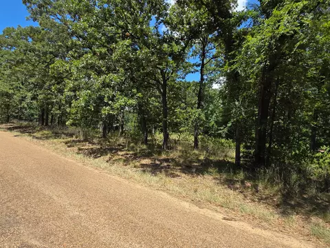 00 Hickory St #LOT 89, Mabank, TX 75156