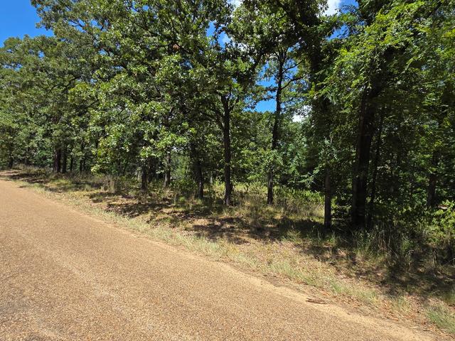 00 Hickory St, Mabank, TX 75156